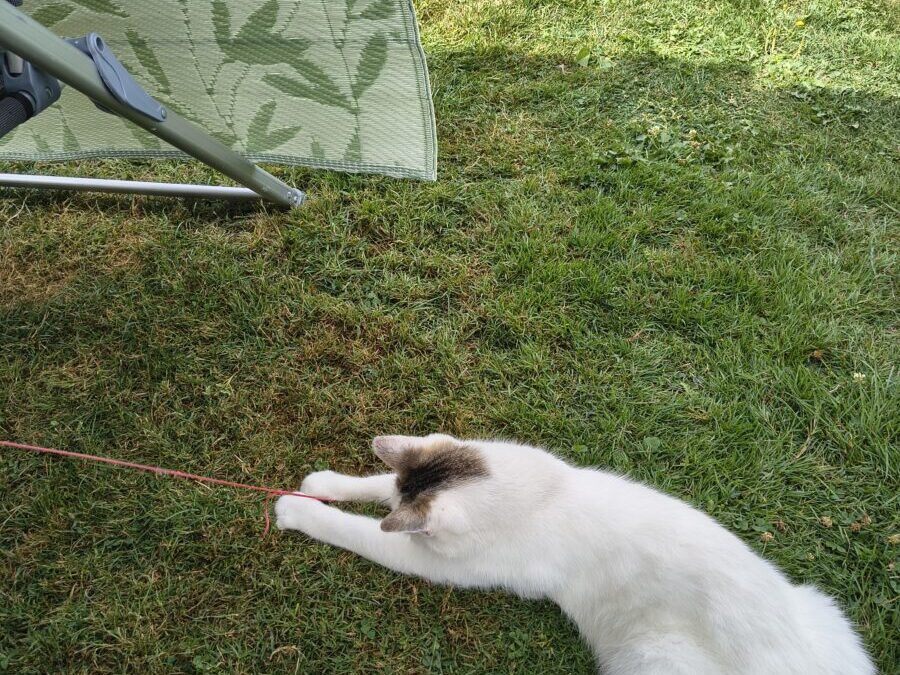 Genieten, wat eten, wat spelen, lekker chillen