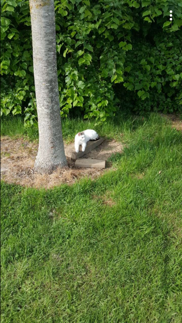 Genieten van het zonnetje